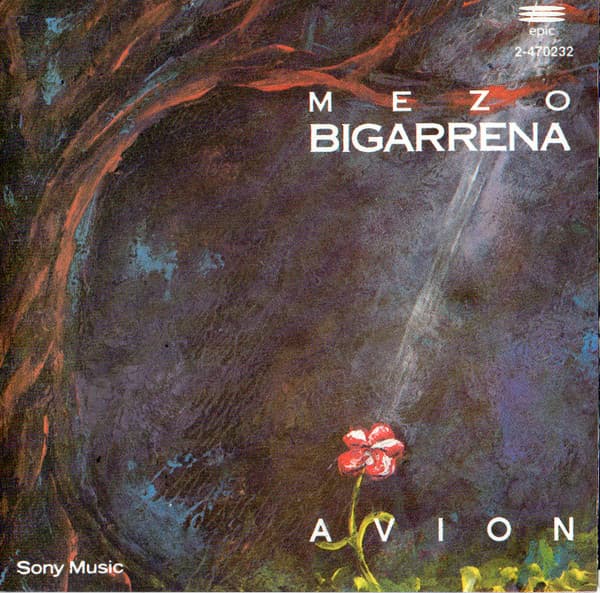 Mezo Bigarrena — Avion