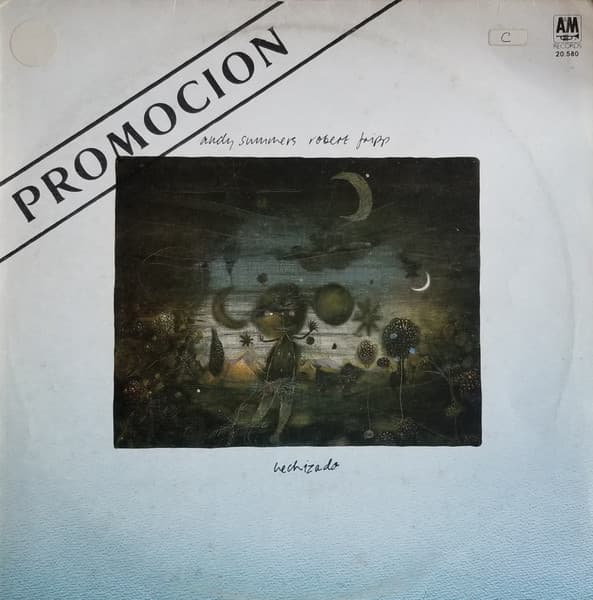 Andy Summers & Robert Fripp — Hechizado
