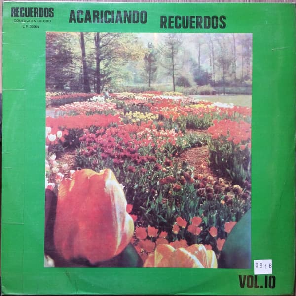 Various — Acariciando Recuerdos Vol. 10
