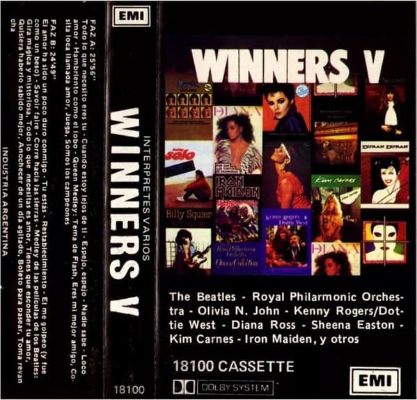 Various — Winners V